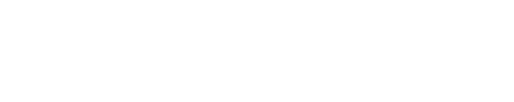 PROING S.A.
